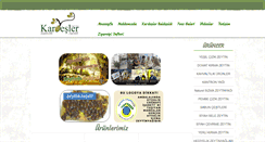 Desktop Screenshot of kardeslerzeytincilik.com
